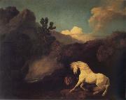 George Stubbs A Horse Frightened by a Lion oil